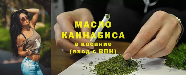 прущие грибы Каменногорск