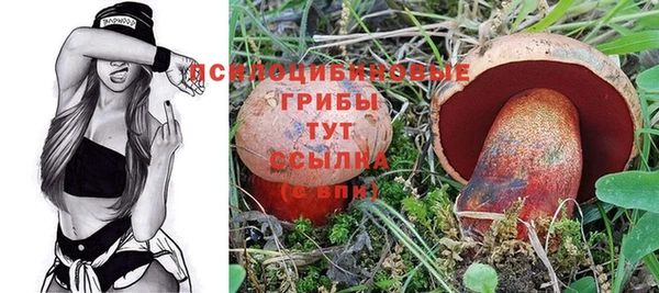 прущие грибы Карталы
