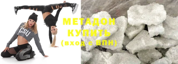 прущие грибы Каменногорск