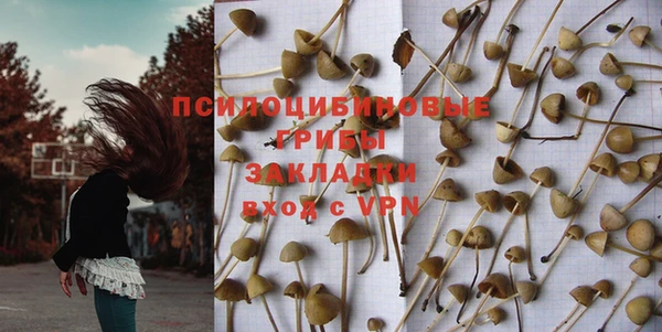 прущие грибы Карталы