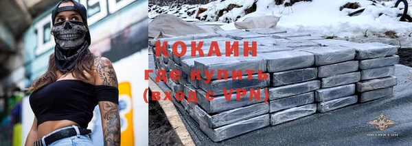 прущие грибы Карталы
