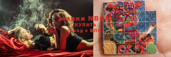 прущие грибы Карталы