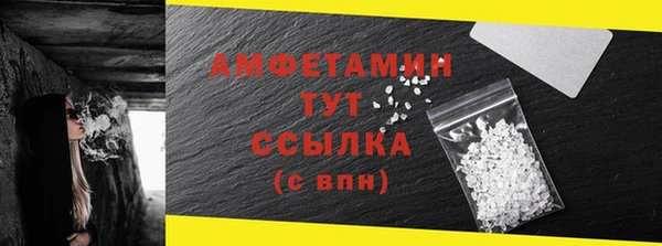 прущие грибы Каменногорск