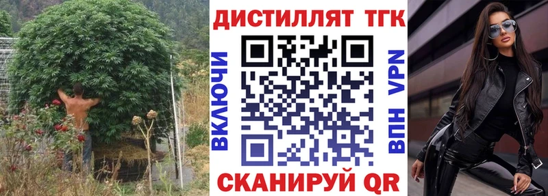 продажа наркотиков  Шенкурск  маркетплейс формула  Дистиллят ТГК вейп 