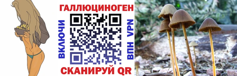 Галлюциногенные грибы мухоморы blacksprut ссылки Шенкурск